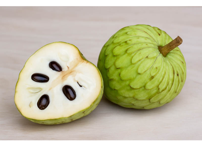  Annona Cherimola Fruit Extract 