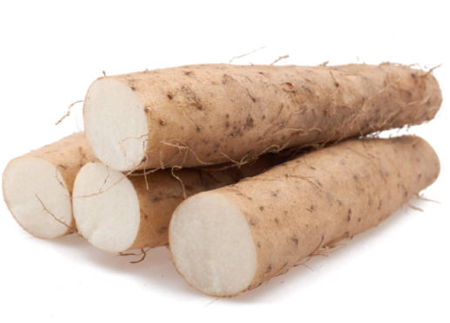  Dioscorea Japonica Root Extract 