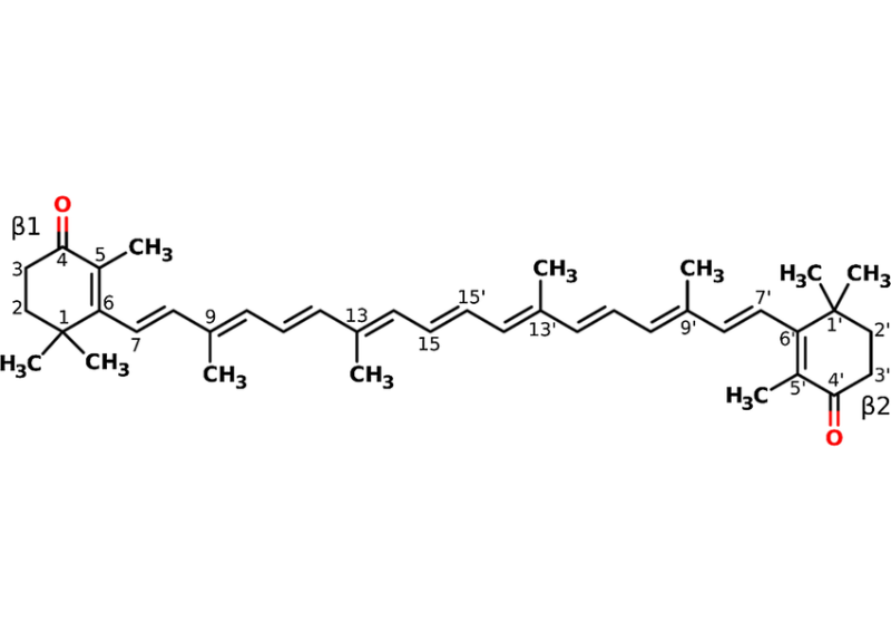  Canthaxanthin 