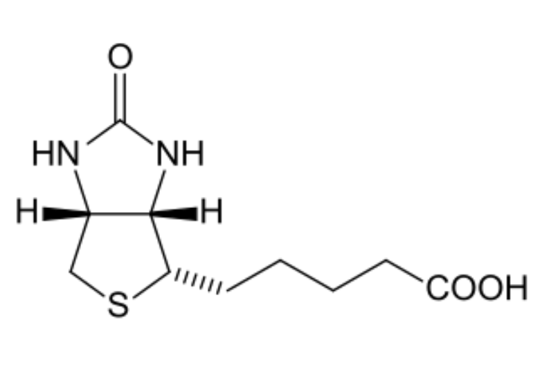  Biotin 