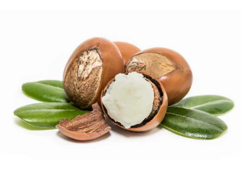  Butyrospermum Parkii (Shea) Nut Shell Powder 