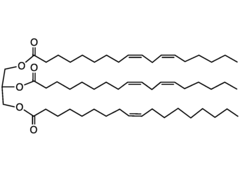  Sunflower Oil 