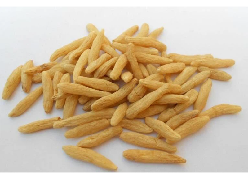  Ophiopogon Japonicus Root Extract 