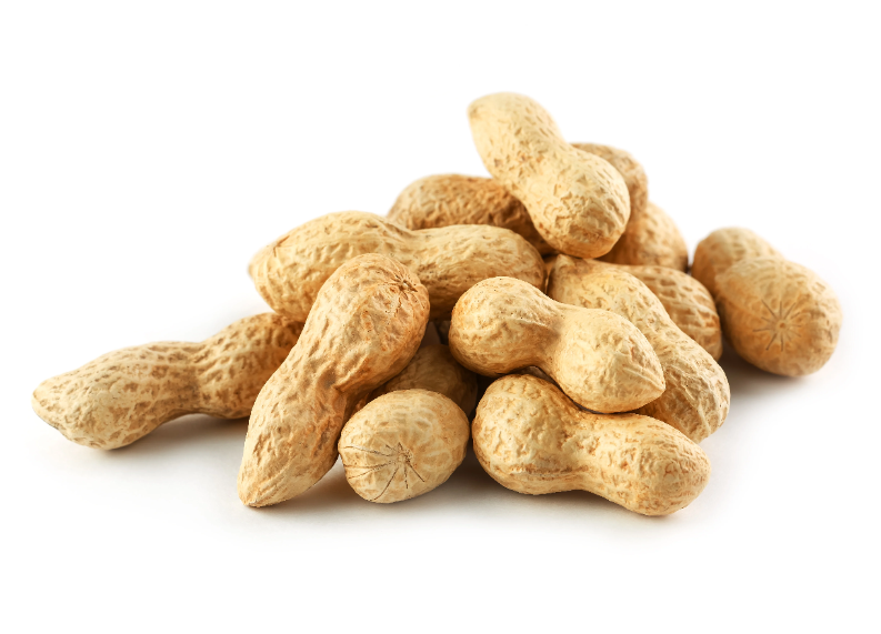  Arachis Hypogaea (Peanut) Oil 