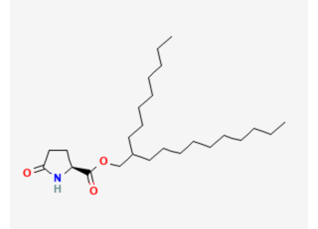  Octyldodecyl PCA 