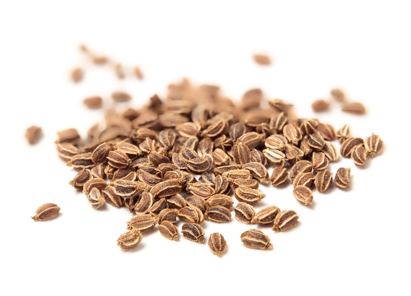  Apium Graveolens (Celery) Seed Extract 