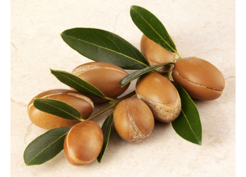  Argania Spinosa 