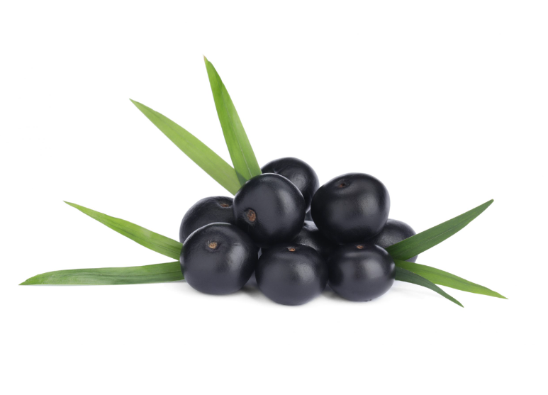  Acai pulp oil 