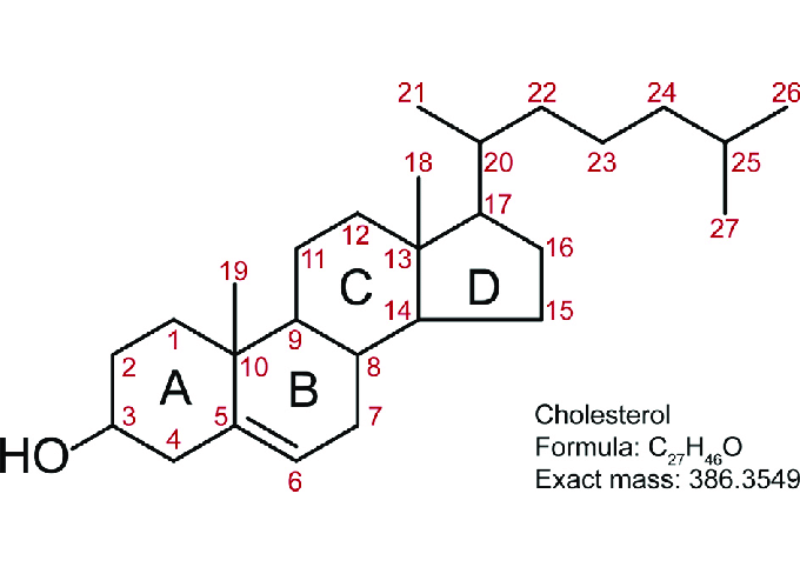  Cholesterin 
