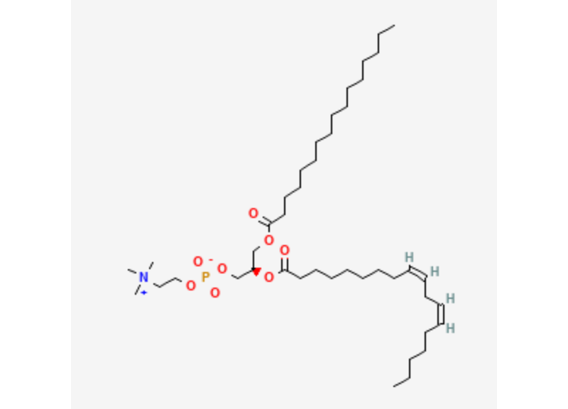  Lecithin 