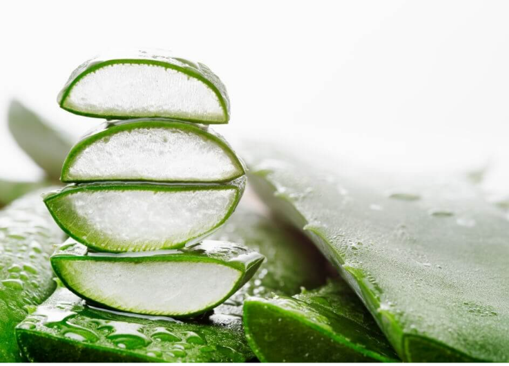  Aloe Extract 