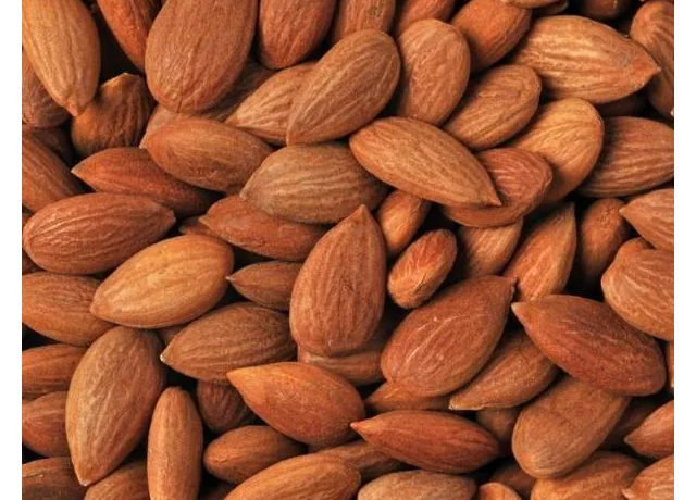  Apricot Kernel 