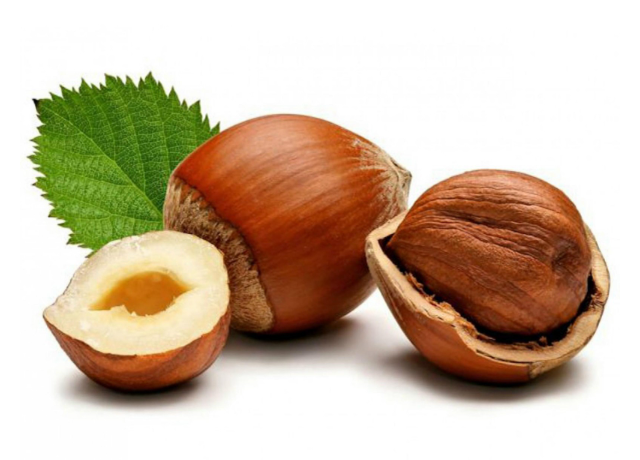  Corylus Americana (Hazelnut) Seed Extract 