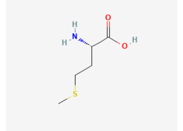  Methionine 