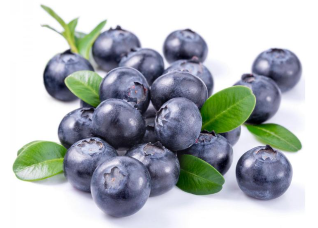  Vaccinium Myrtillus Fruit Extract 