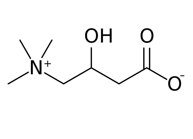  Carnitine 