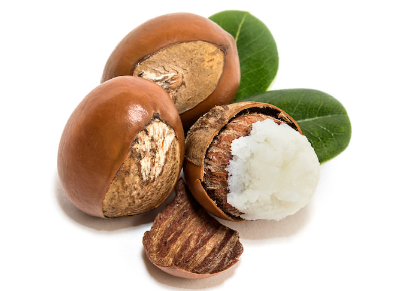  Butyrospermum Parkii (Shea) Nut Extract 