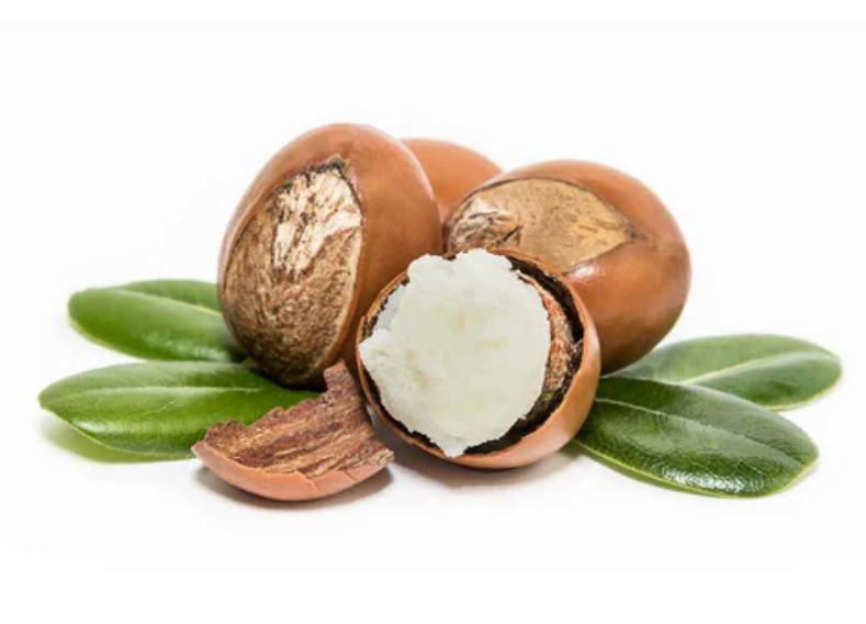  Butyrospermum Parkii Butter / Shea Butter 