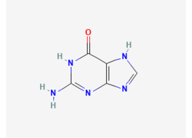  Guanine 