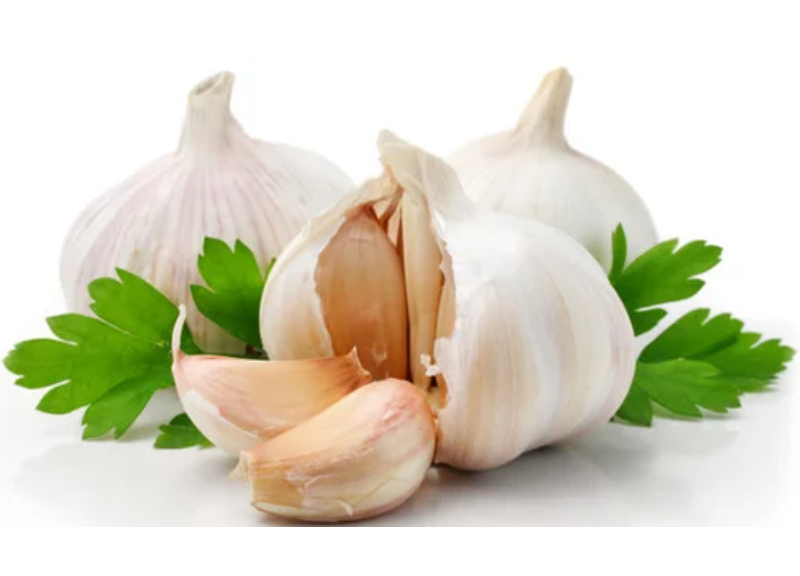  Allium Sativum Garlic Bulb Extract 