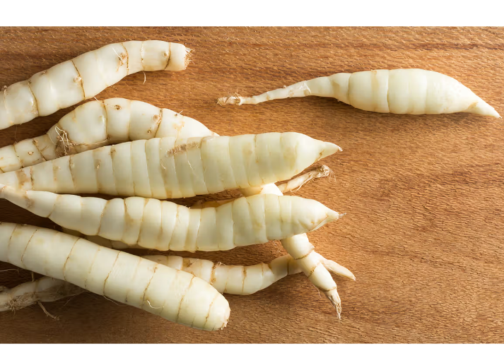  Arrowroot 