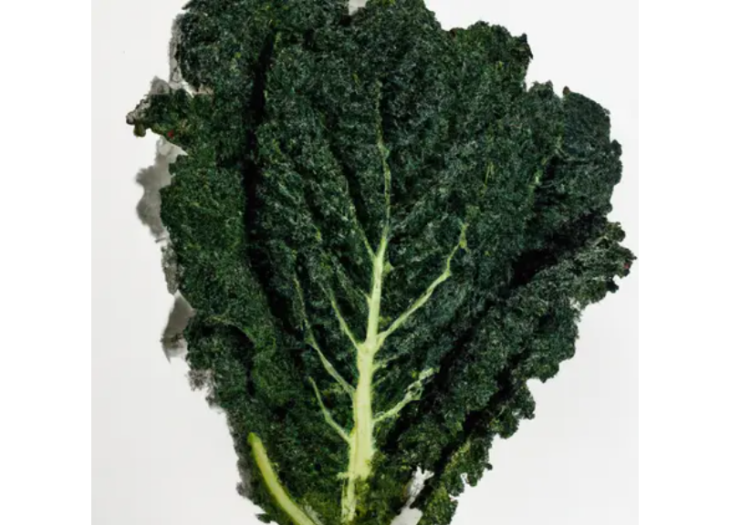  Brassica Oleracea Acephala Leaf Extract 