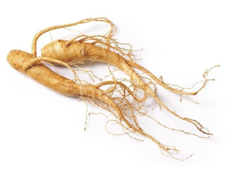  Panax Ginseng Root Extract 