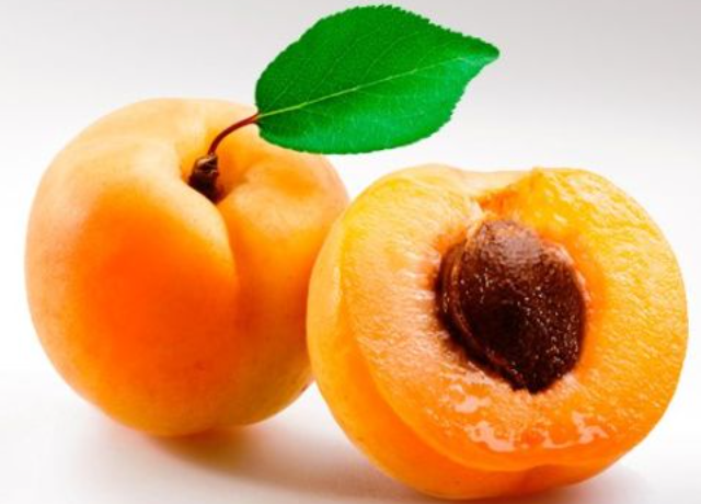  Prunus Armeniaca Kernel Oil 