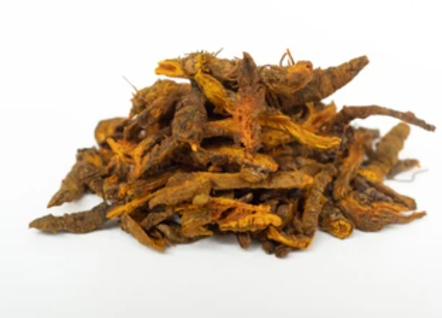  Coptis Chinensis Root Extract 