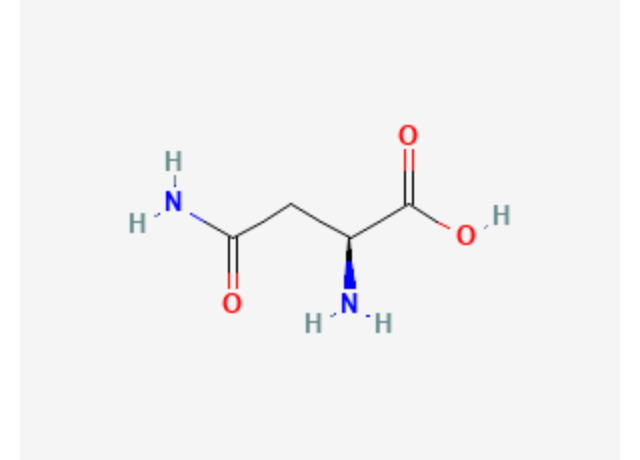  Asparagine 