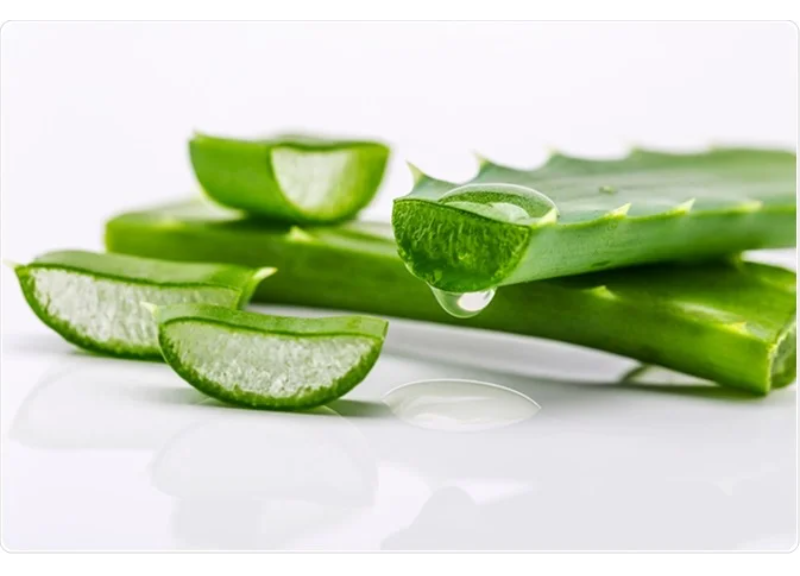  Aloe Ferox Leaf Juice Extract 