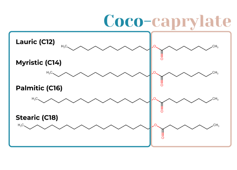  Coco-Caprylate-Caprate 