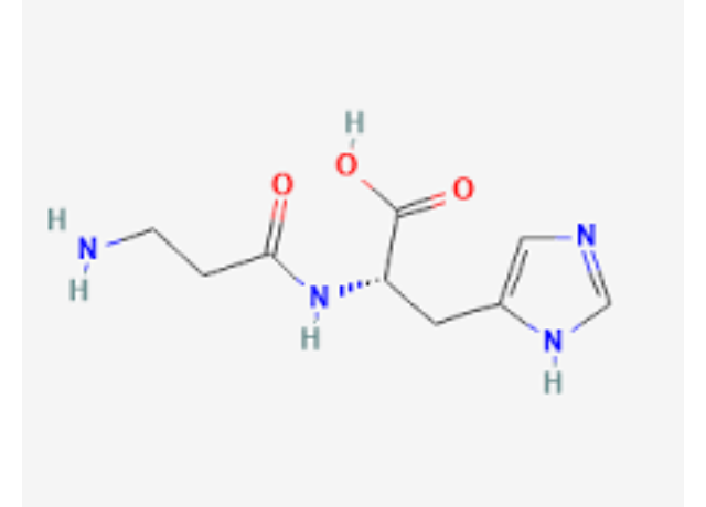  L-Carnosine 