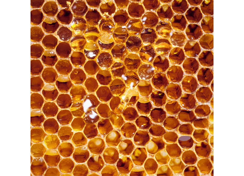  Beeswax 