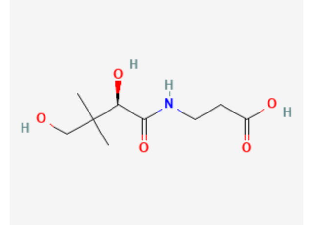 Pantothenic Acid 