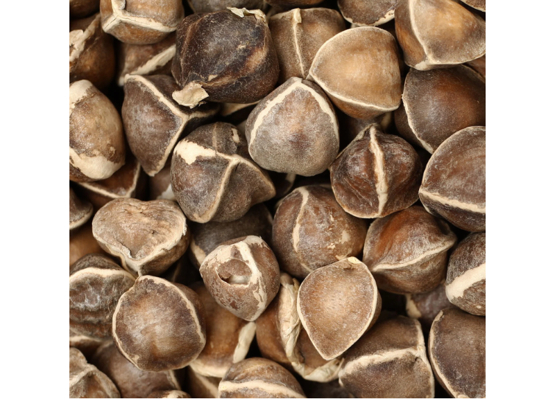  Moringa Oleifera Seed Extract 