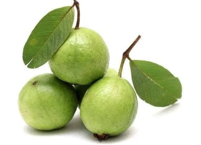  Psidium Guajava (Guava) Fruit Extract 