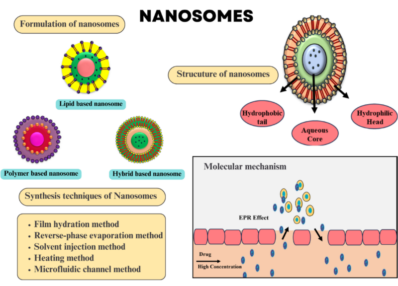  Nanosomes 
