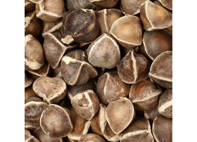  Moringa Oleifera Seed Oil 