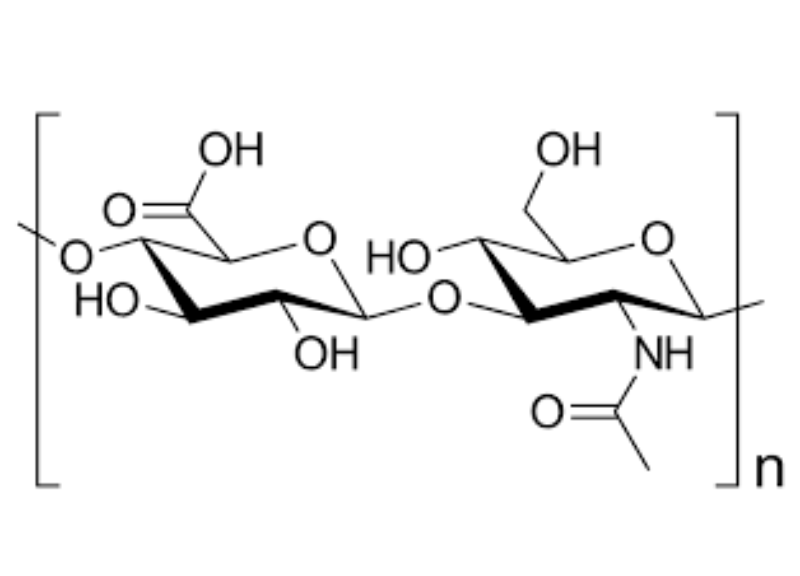  Hydrolyzed Sodium Hyaluronate 