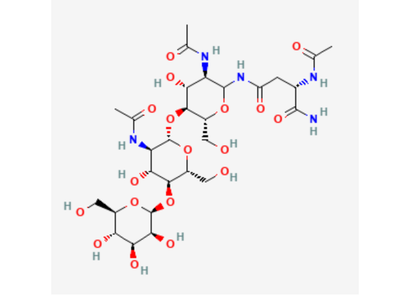  Glycoproteins 
