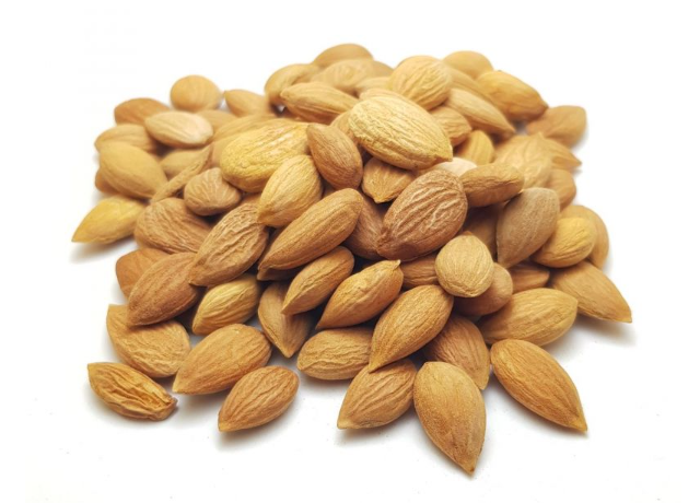  Prunus Armeniaca Kernel 
