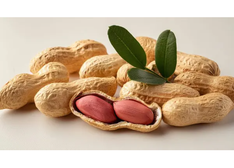  Arachis Hypogaea (Peanut) Flour 