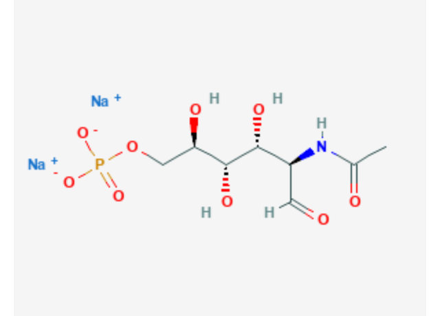  Disodium Acetyl Glucosamine Phosphate 