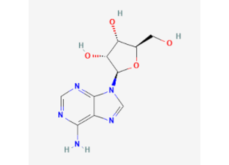  Adenosine 