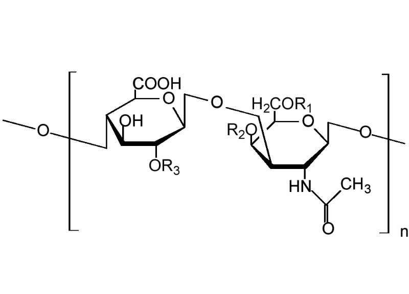  Glycosaminoglycans 