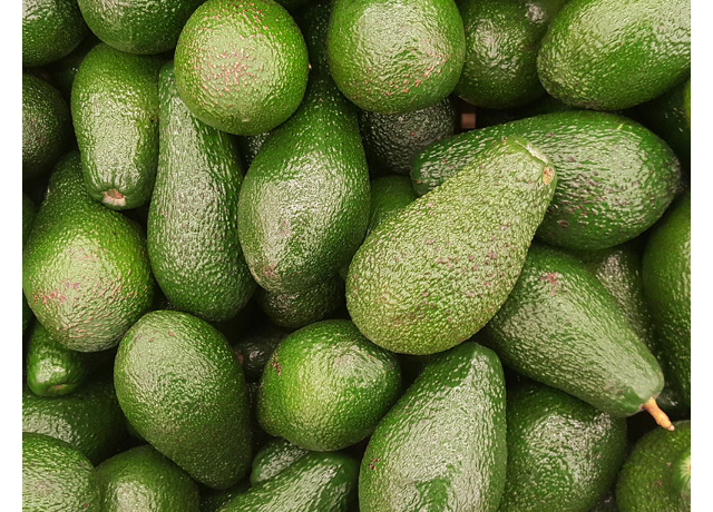  Persea Gratissima (Avocado) Fruit Extract 