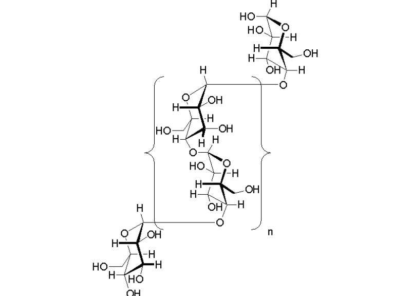  Glycogen 