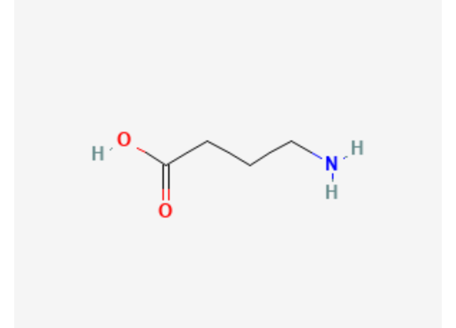  Aminobutyric Acid 